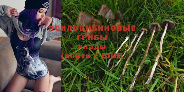 крисы Инсар