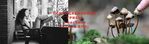jwh Алзамай